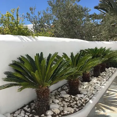 Myconian Sky Suites In Town アパート Mykonos Town